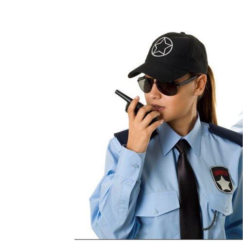 Security Supervisor